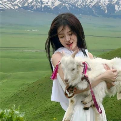 航向热带岛屿的冰山封面